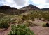 new_mexico_desert082